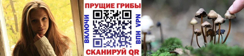 Псилоцибиновые грибы мухоморы  где продают наркотики  Свирск 